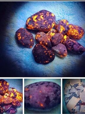 Lake Michigan Great Lakes Pallet. Yooperlites, fossils, agates, hag stone.